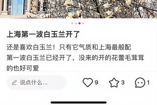 开云平台官方网站下载截图0